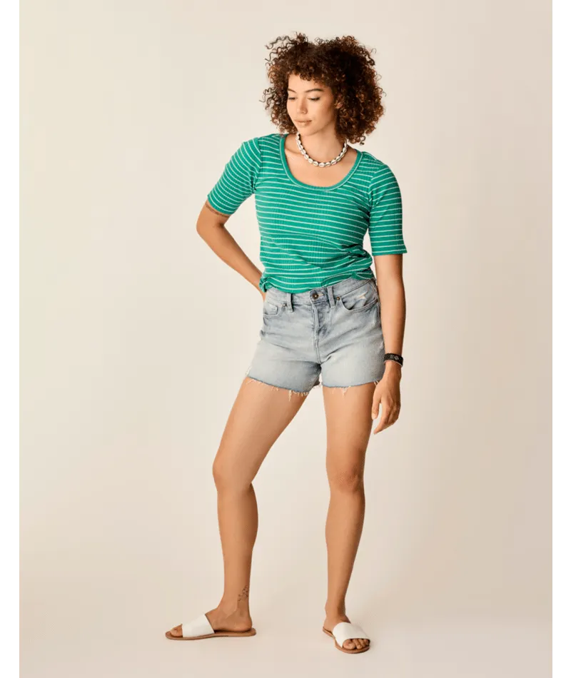 Carve Designs Hayden Shorts-Vintage Destructed